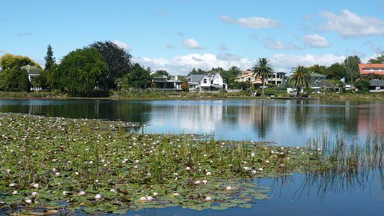 Hamilton Lake Domain